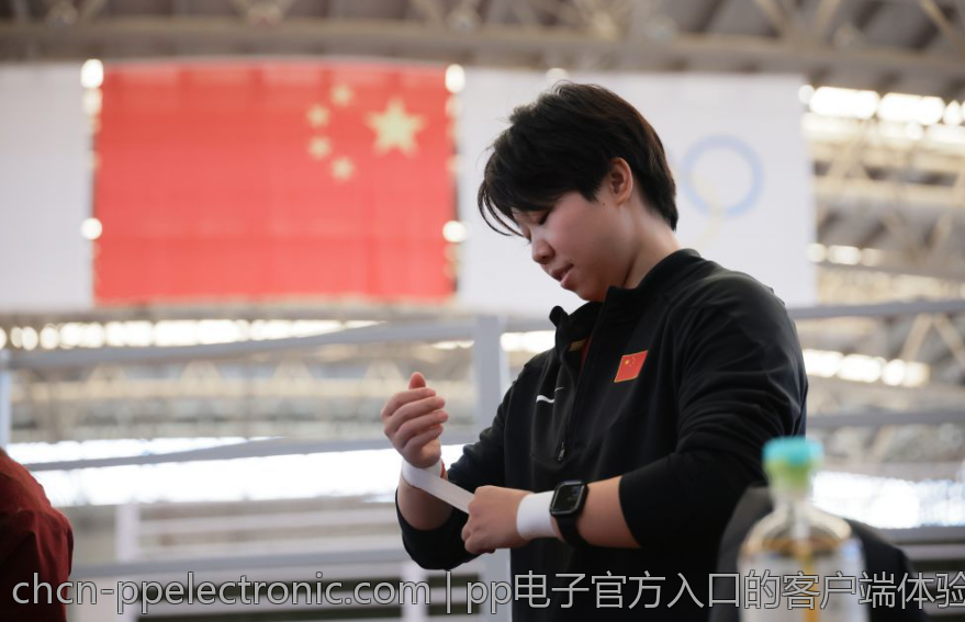 pp电子官方入口的客户端体验评测