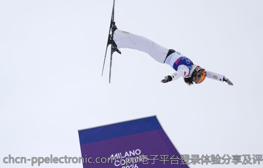 pp电子平台登录体验分享及评价